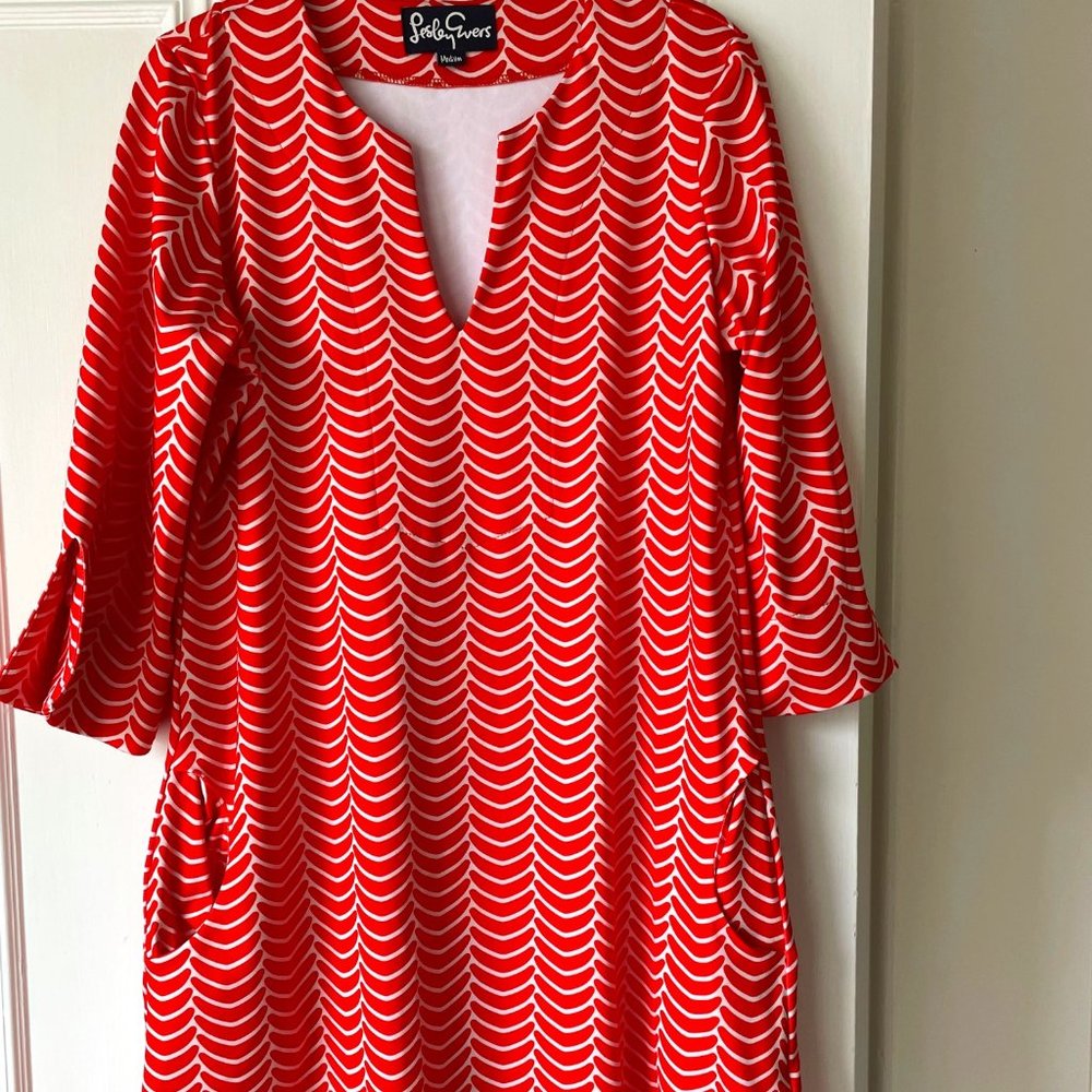 Worn Once: Tunic Dress